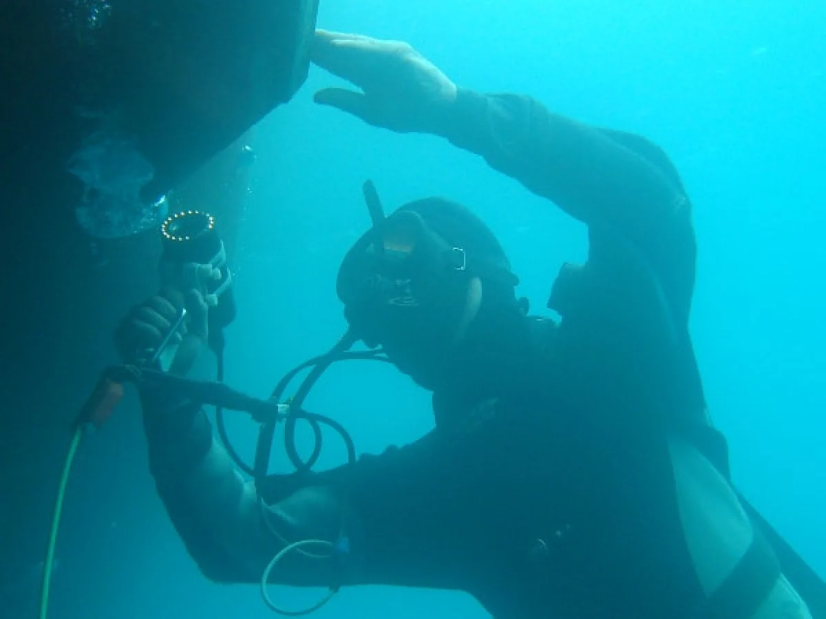 Survey and technical consultancy