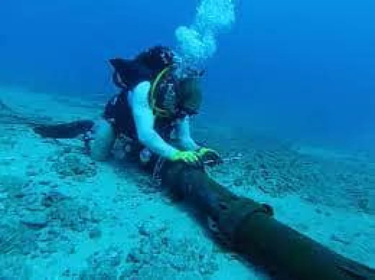 Marine discharge and charging lines