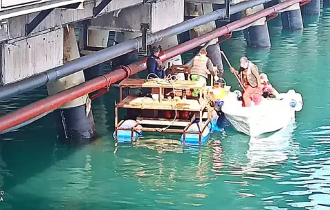 İskele Bakım Onarım