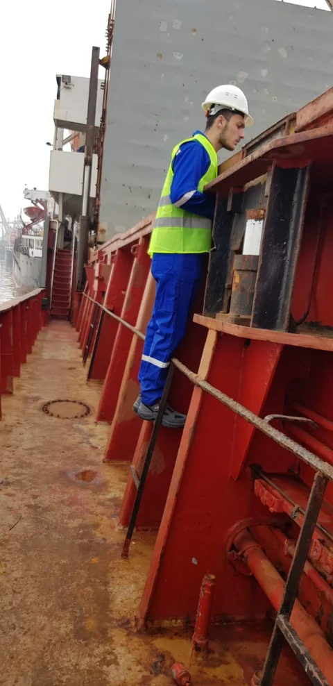  Sörvey ve Danışmanlık Hizmetleri