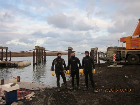 Pier and bridge demolition